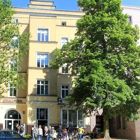 Sztukateria Dom Pracy Tworczej Szczecin